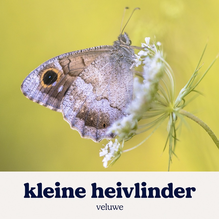 B6C667EF-61D6-4EDB-B5A2-68E4AC74C945_1_105_c